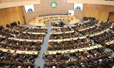 Celebran vigésimo cuarta Conferencia de la Unión Africana  - ảnh 1